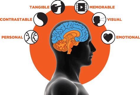 6 Stimuli Salesbrain Capture Convince Close More Sales