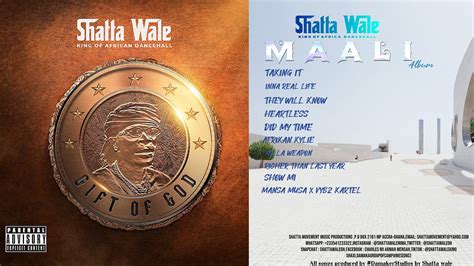 Shatta Wale previews tracklist & cover art of upcoming ‘Maali ...