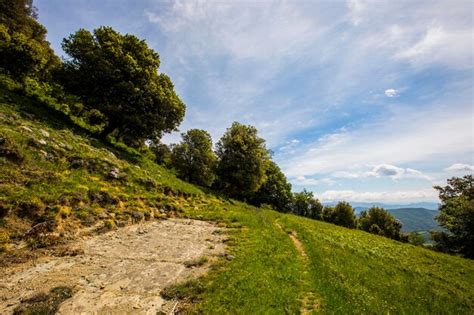 Premium Photo Spring Landscape In Falgars D En Bas La Garrotxa Spain