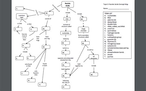 Dna Structure Concept Map Oconto County Plat Map