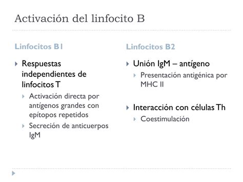 Ppt Elementos Celulares De La Respuesta Inmune Powerpoint