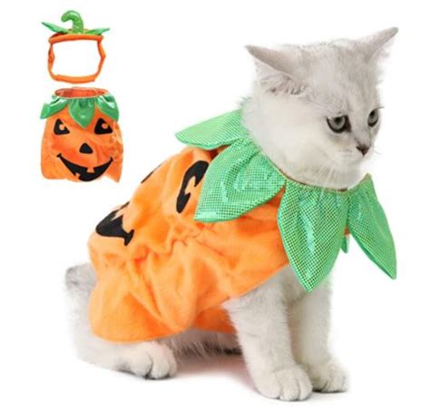 Los Mejores Disfraces De Halloween Para Gatos Wakyma