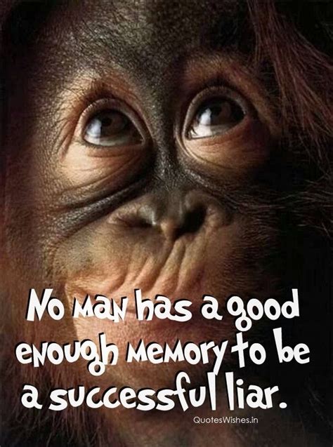 Pin By Quotes Wishes On Weird Quotes 2016 Monkeys Funny Funny Monkey