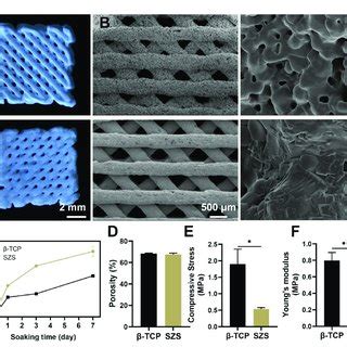 Characterization Of D Printed Szs And Tcp Scaffolds A Optimal