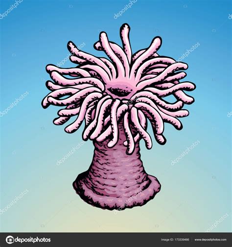 Sea Anemone Vector Sketch Stock Vector Image By ©marinka 173339466