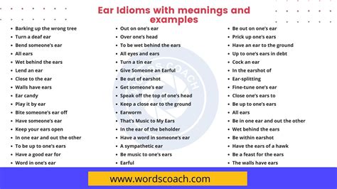 50 Ear Idioms With Meanings And Examples Word Coach