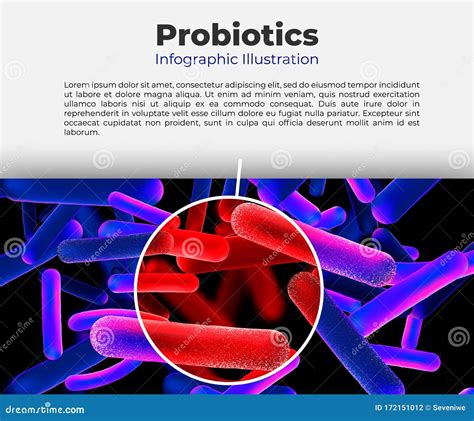 Probiotic Lactobacillus Health Benefits Infographic Healthy Skin