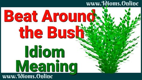 Beat Around The Bush Idiom Meaning YouTube