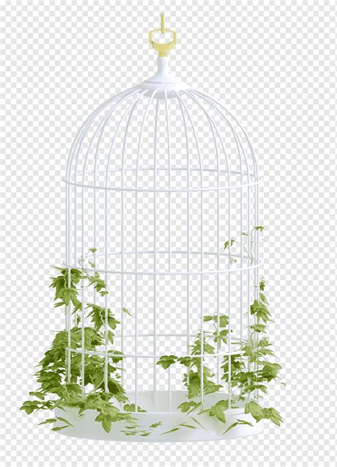 White Bird Cage Png Atelier Yuwa Ciao Jp