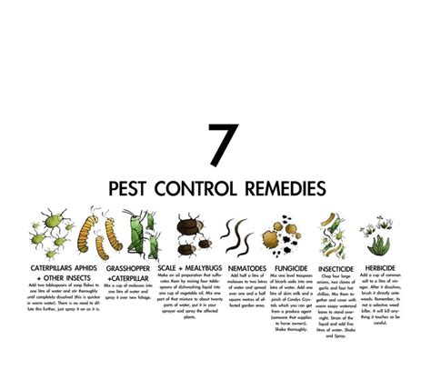 55 Natural Insect Pest Control Methods That Work | Freelance Writing Jobs