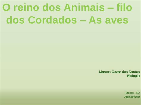 PDF O Reino Dos Animais Filo Dos Cordados As Aveseducacaonaopara