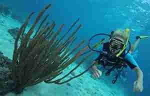 Curacao Dive Sites Ocean Encounters Cura Ao Diving Guide