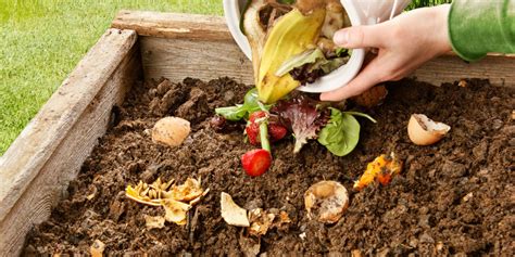 Qué Es Y Cómo Hacer Compost Casero Ecólatras