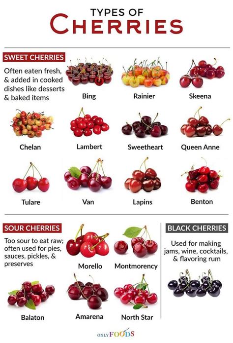 Types Of Cherries Rcoolguides