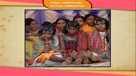 Tribes Nomads And Settled Communities Social Divisions And Tribal