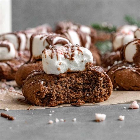 Peppermint Hot Chocolate Cookies Recipe Dinner Then Dessert