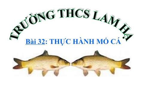 Bài 33 Cấu Tạo Trong Của Cá Chép Sinh Học 7 Nguyễn Thị Nữ Thư