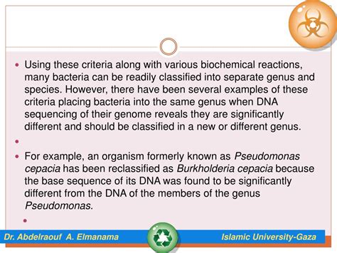 PPT Chapter 5 Classification Of Medically Important Bacteria