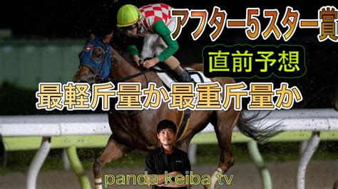 【アフター5スター賞】直前予想〜パンダ競馬tv Youtube