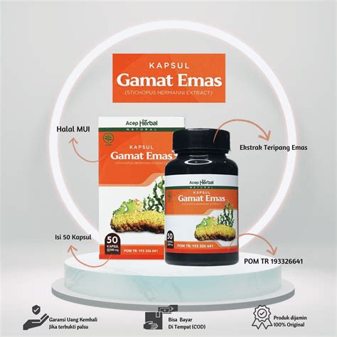 Kapsul Gamat Emas Original Kapsul Ekstrak Teripang Emas Asli