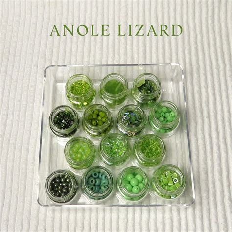 Pin By Adornbyorna On Glass Vials Glass Vials Glass Anole