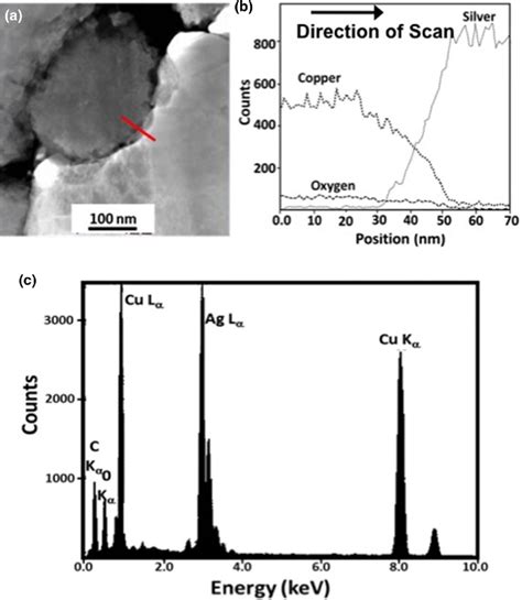 A Tem Images Of The Micron Ag Joint Sintered On The Cu Substrate In Air