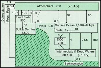 Schematic Representation Of The Global Carbon Cycle For The 1980 S