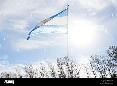 Bandera Argentina Ondeando En Un Asta De Bandera Al Aire Libre En Un