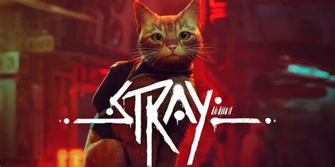 Stray | Nintendo Switch games | Games | Nintendo UK