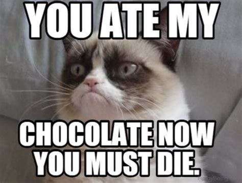 30 Sweet and Funny Chocolate Memes - SayingImages.com