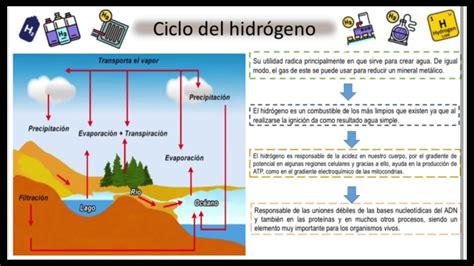 Ciclo Hidrológico Y Ciclo Del Hidrógeno Youtube