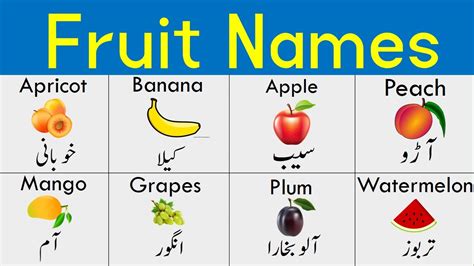 Fruit Names In Urdu And English With Pictures Off