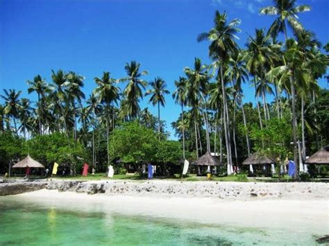 Top Rated Resorts In The Island Garden City Of Samal Philippine