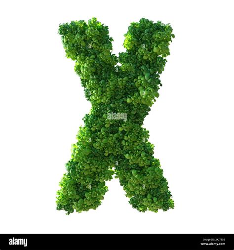 Letras De Plantas Abecedario Fotograf As E Im Genes De Alta Resoluci N