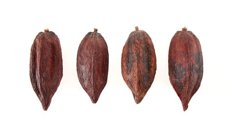 Premium Photo Cacao Pod Isolated On White Background