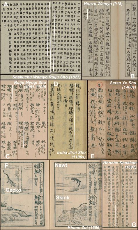 Ancient Japanese Literature With A Description Of Lizards The