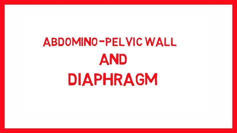 Anatomy Mcq Of Abdominal Pelvic Wall And Diaphragm Mcq Anatomy Youtube