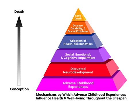 Early Childhood Trauma Can Lead To Early Death Center For Child