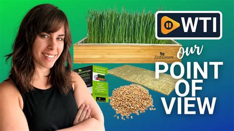 Zestigreens Cat Grass Kits Our Point Of View Youtube