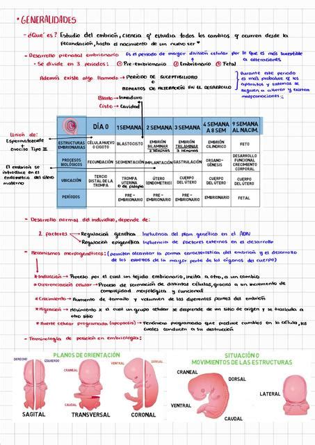 Embriología Udocz