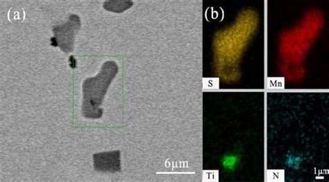 Typical MnS Diagram With TiN As Nucleation Core A SEM Morphology Of