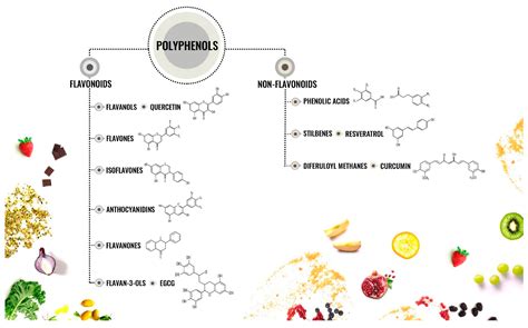 Cancers Free Full Text Bioactive Phenolic Compounds In The