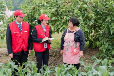 走进农合联 莲都农商行普惠金融服务乡村振兴 丽水广播 丽水网 丽水新闻综合门户网站