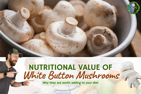 Oyster Mushroom Facts Health Benefits Nutritional Value