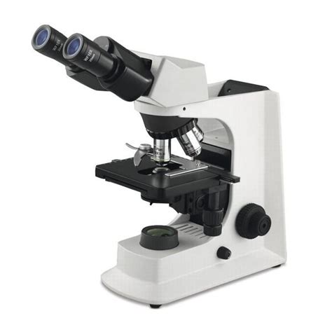 Microscopio Ottico Eickemeyer Veterinary Equipment Per