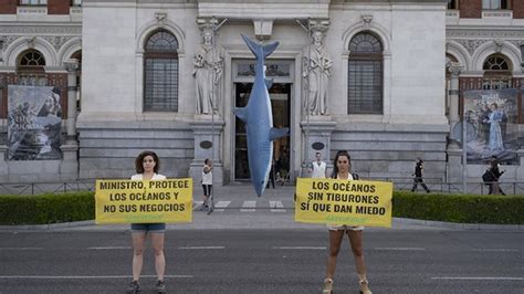 Greenpeace Cuelgan Un Tiburón De La Puerta Del Ministerio De Pesca