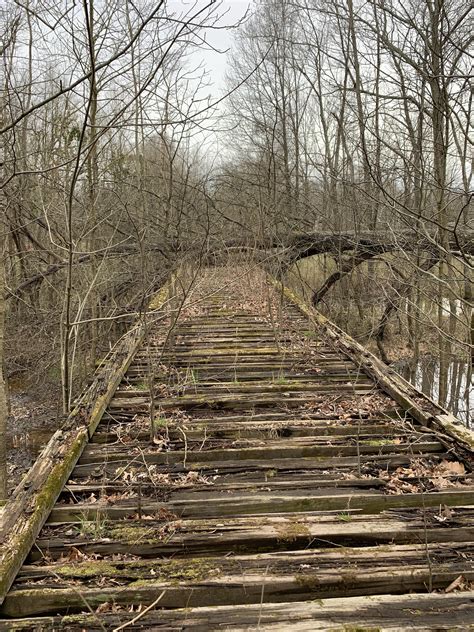 Abandoned wooden railroad bridge, rural Illinois. : r/AbandonedPorn