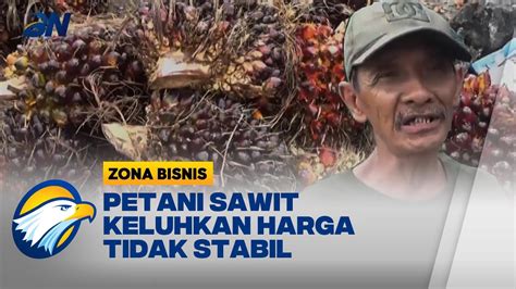 Petani Sawit Di Jambi Keluhkan Harga Tbs Tidak Stabil Youtube