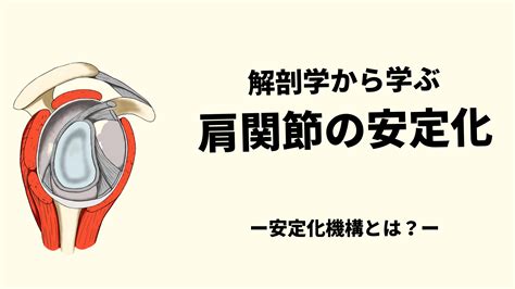 解剖学から学ぶ肩関節の安定化 exthera school