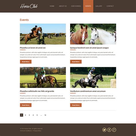 Horse Club Web Design & WordPress Integration — Hire Brains